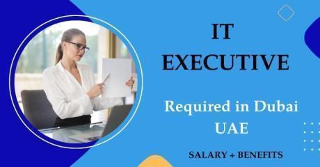Information Technology Executive Required in Dubai