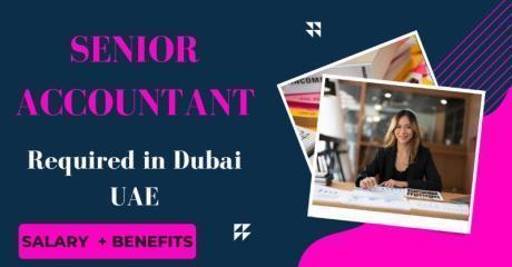 Senior Accountant Required in Dubai