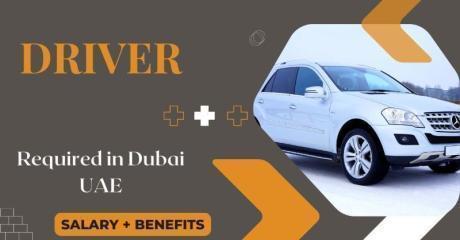 Driver Required in Dubai