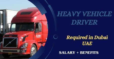 Heavy Vehicle Driver Required in Dubai