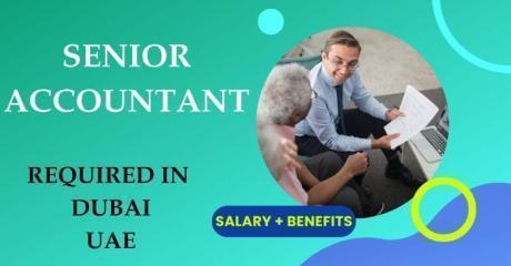 Senior Accountant Required in Dubai