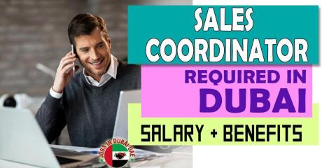 Sales Coordinator Required in Dubai