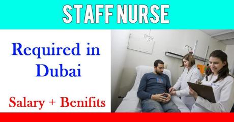 Staff Nurse Required in Dubai