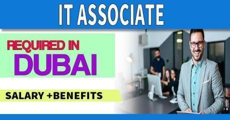IT Associate Required in Dubai