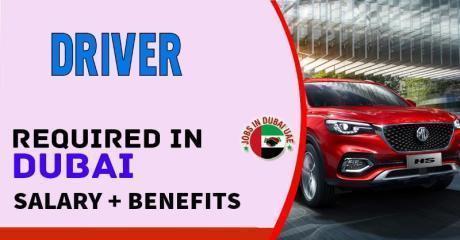 Driver Required in Dubai