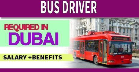 Bus Driver Required in Dubai