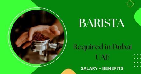 Barista Required in Dubai
