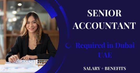 Senior Accountant Required in Dubai
