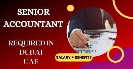 Senior Accountant Required in Dubai