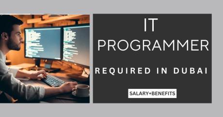 IT Programmer Required in Dubai