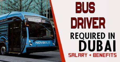 Bus Driver Required in Dubai