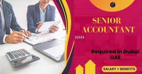 Senior Accountant Required in Dubai