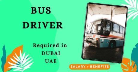 Bus Driver Required in Dubai