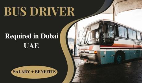 Bus Driver Required in Dubai