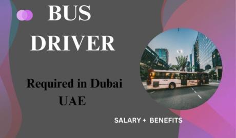 Bus Driver Required in Dubai