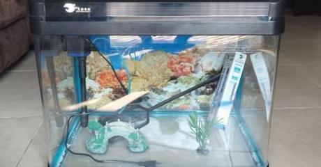 Aquarium full set available