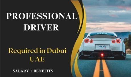 Professional Driver Required in Dubai
