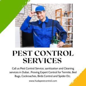 Pest Control Service