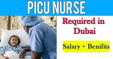PICU Nurse Required in Dubai
