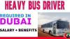 Heavy Bus Driver