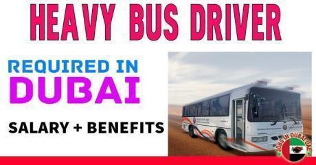Heavy Bus Driver